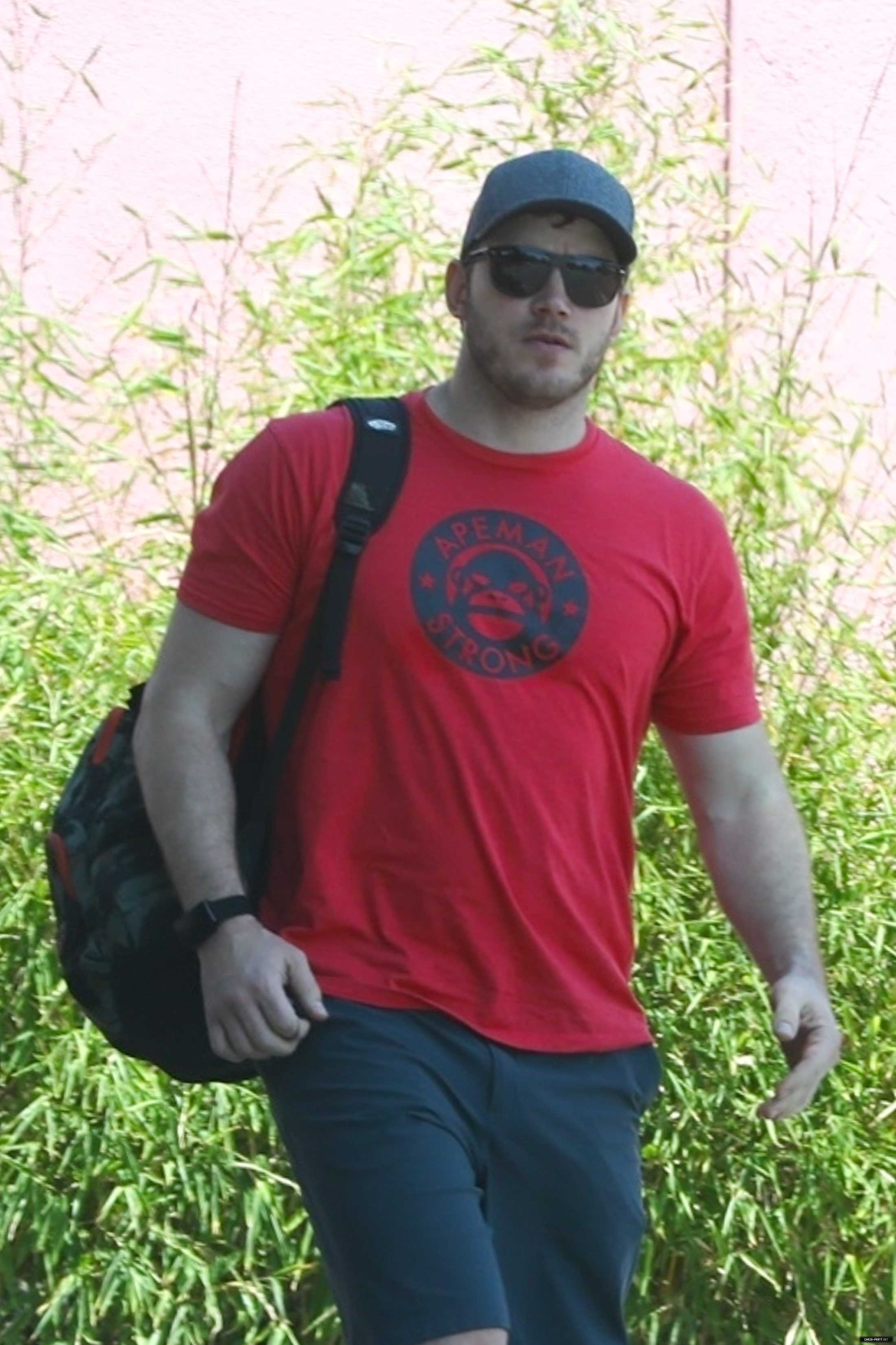 4073.jpg