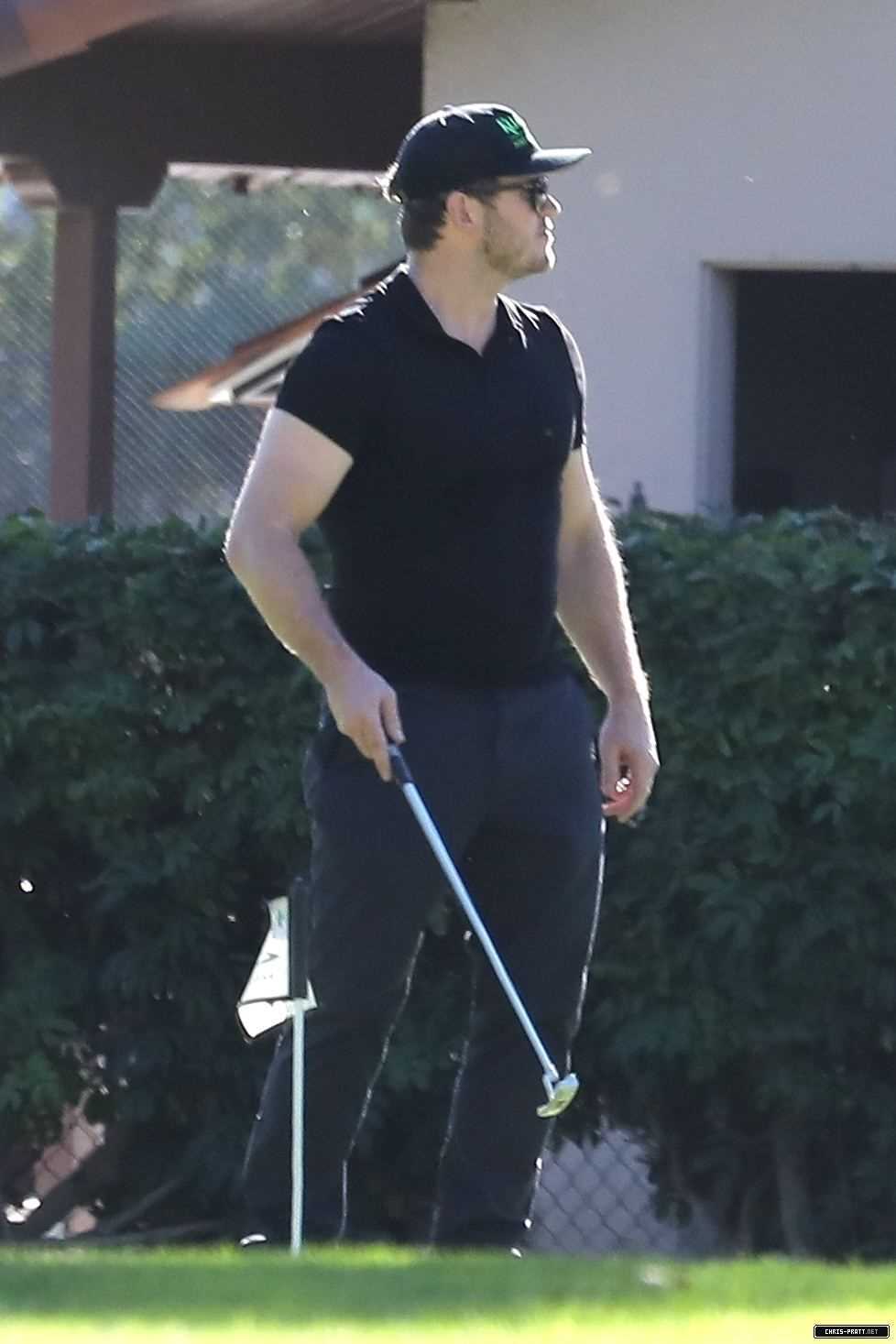 4441.jpg