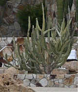 Filename=5826.jpg
Filesize=237KiB
Dimensions=522x348
Date added=Jan 15, 2021 5826.jpg
