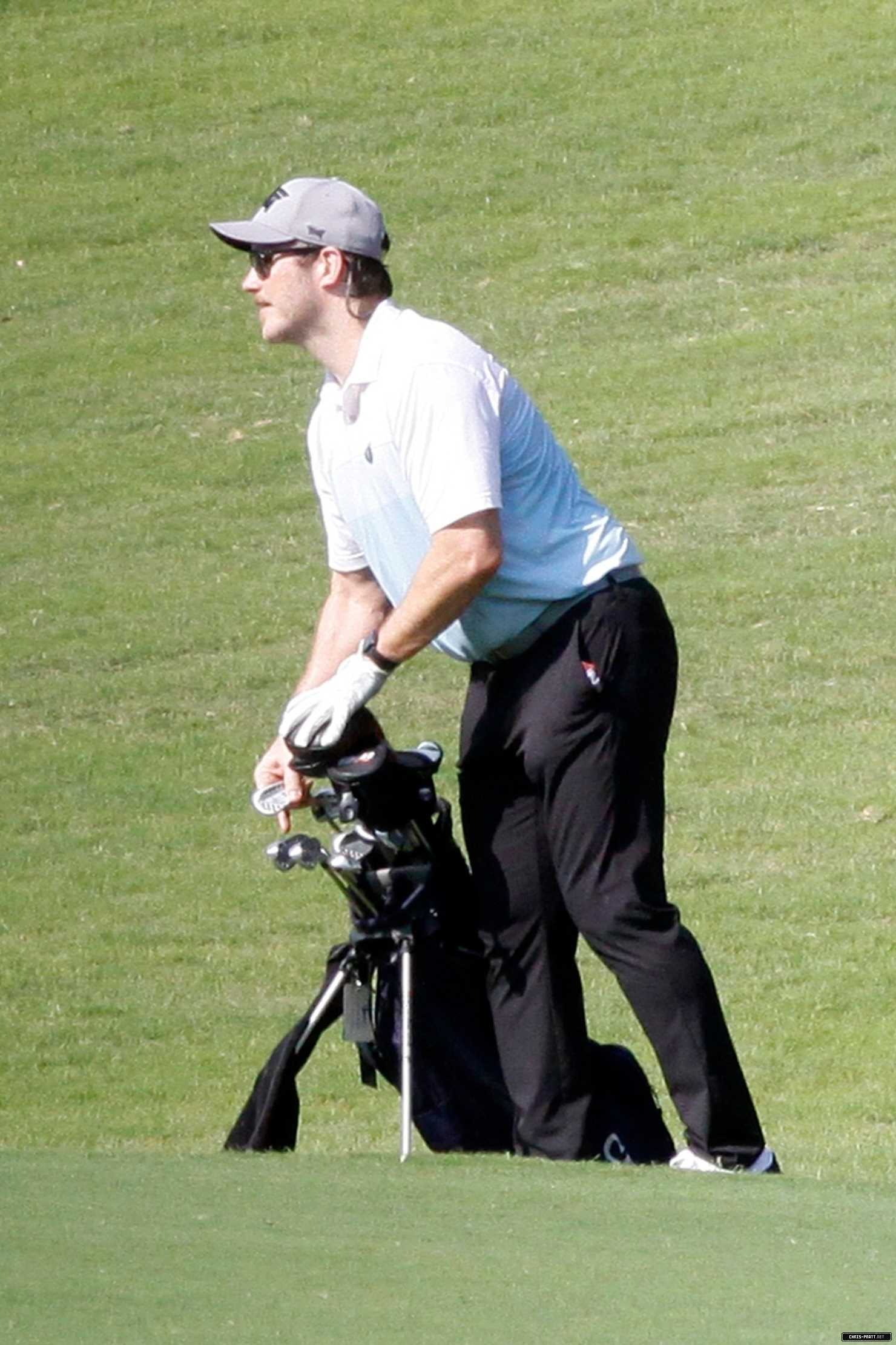 8241.jpg