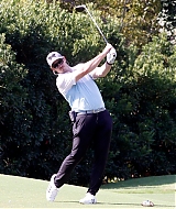 8250.jpg