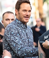 8608.jpg