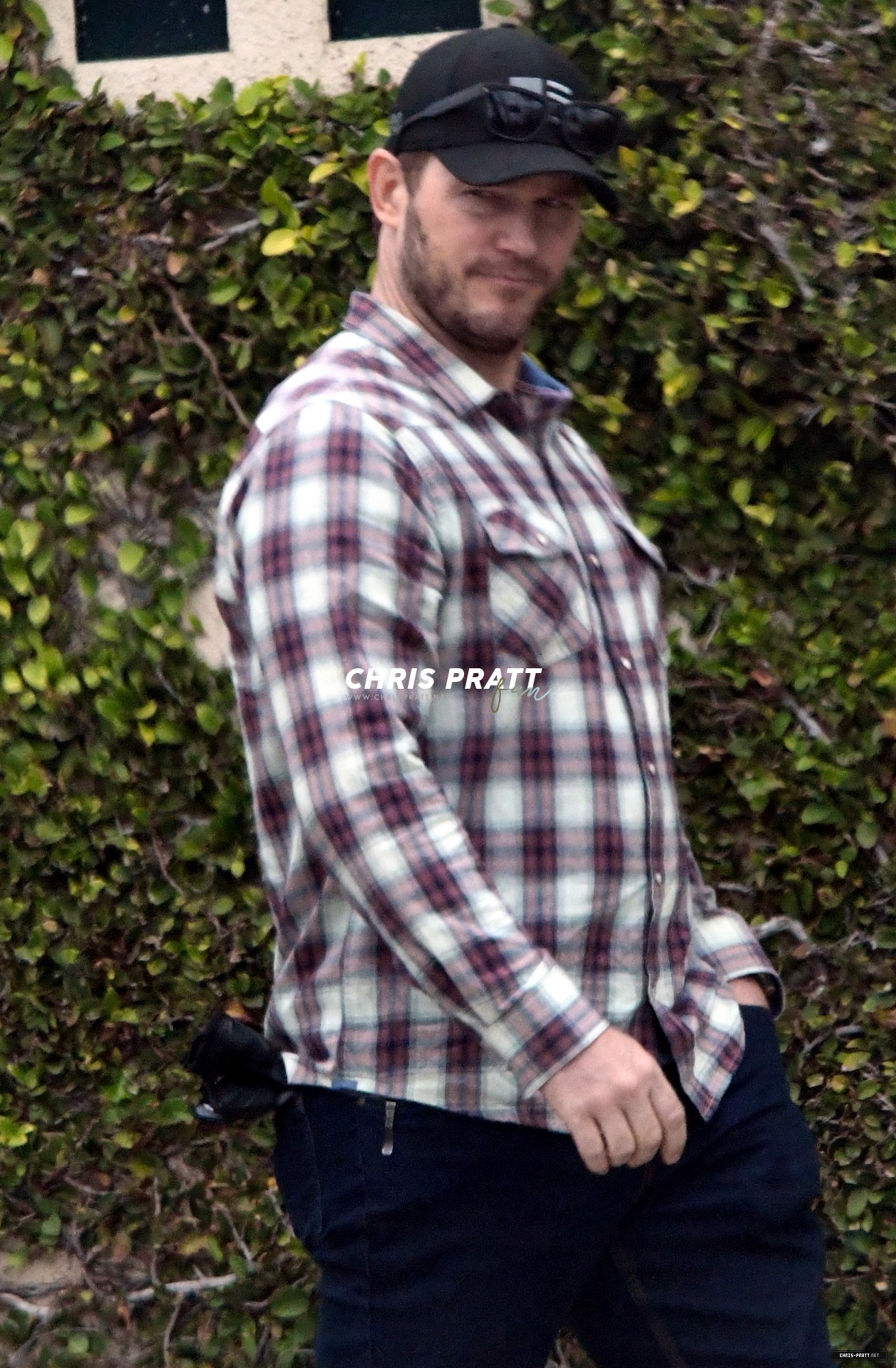 17.jpg