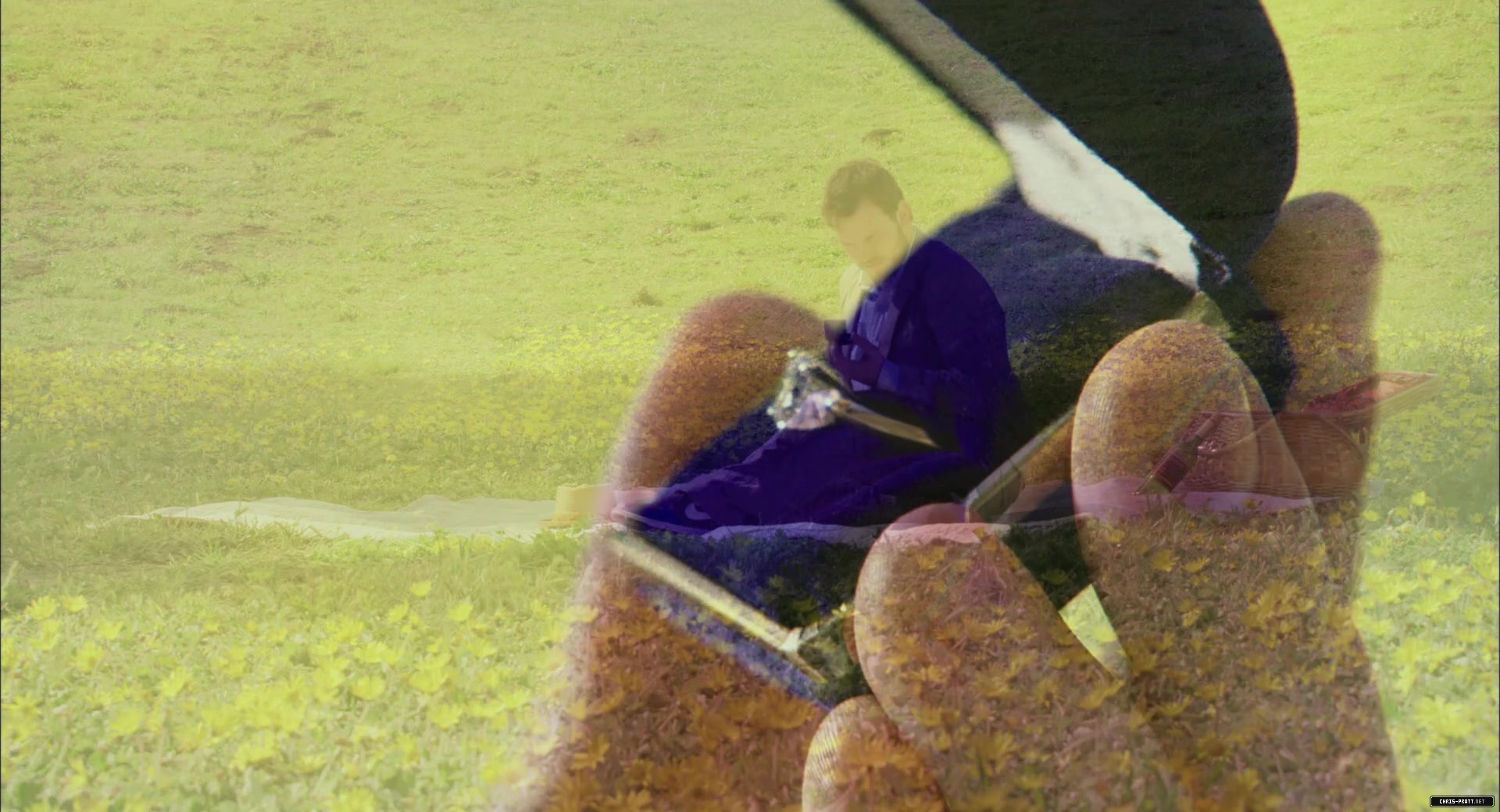 2942.jpg