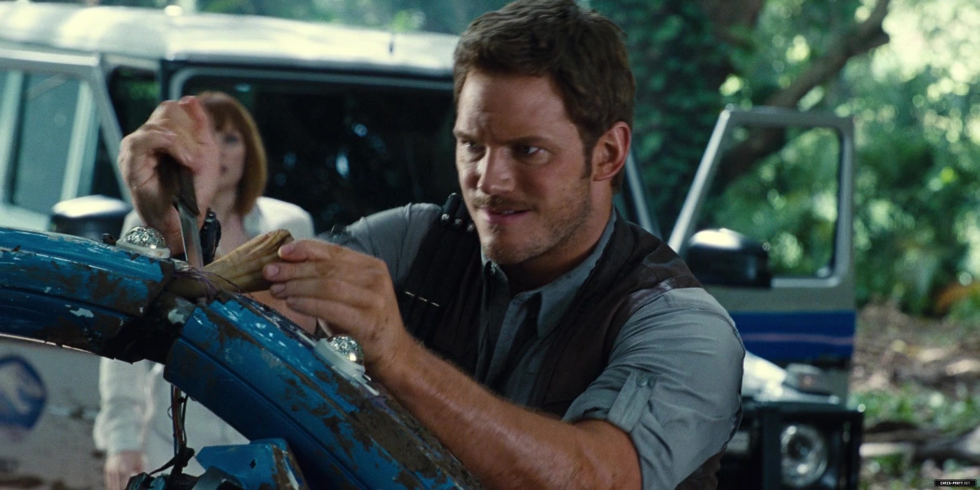 347.jpg