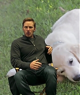 283.jpg