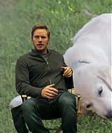 284.jpg