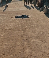 1048.jpg