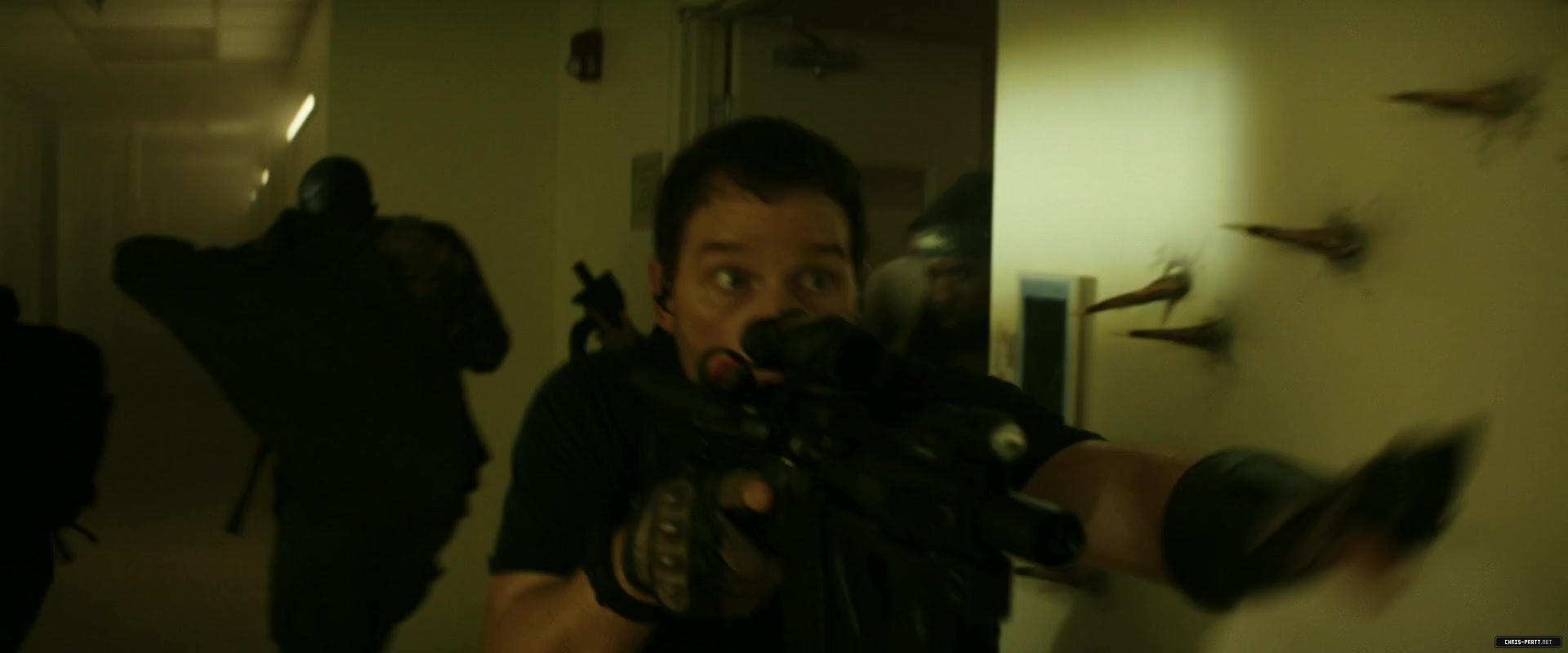 371.jpg