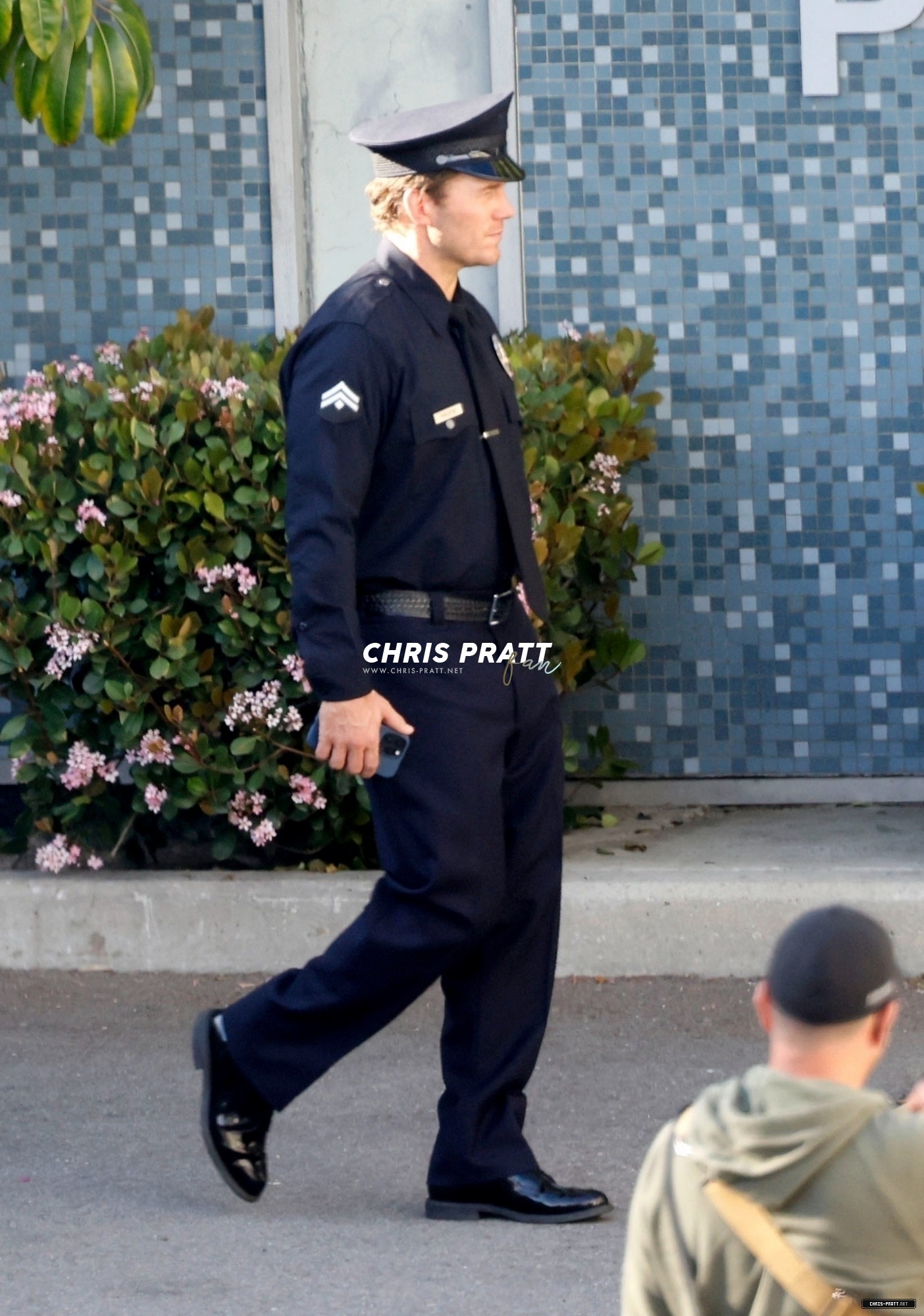 hq41.jpg