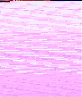 2604.jpg