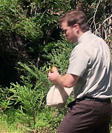 147.jpg