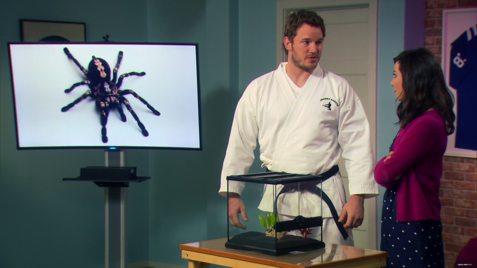 537.jpg