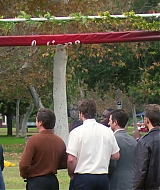 653.jpg