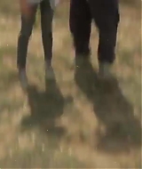 106.jpg