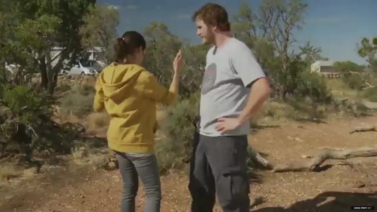 278.jpg