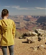 263.jpg
