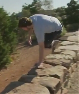 336.jpg