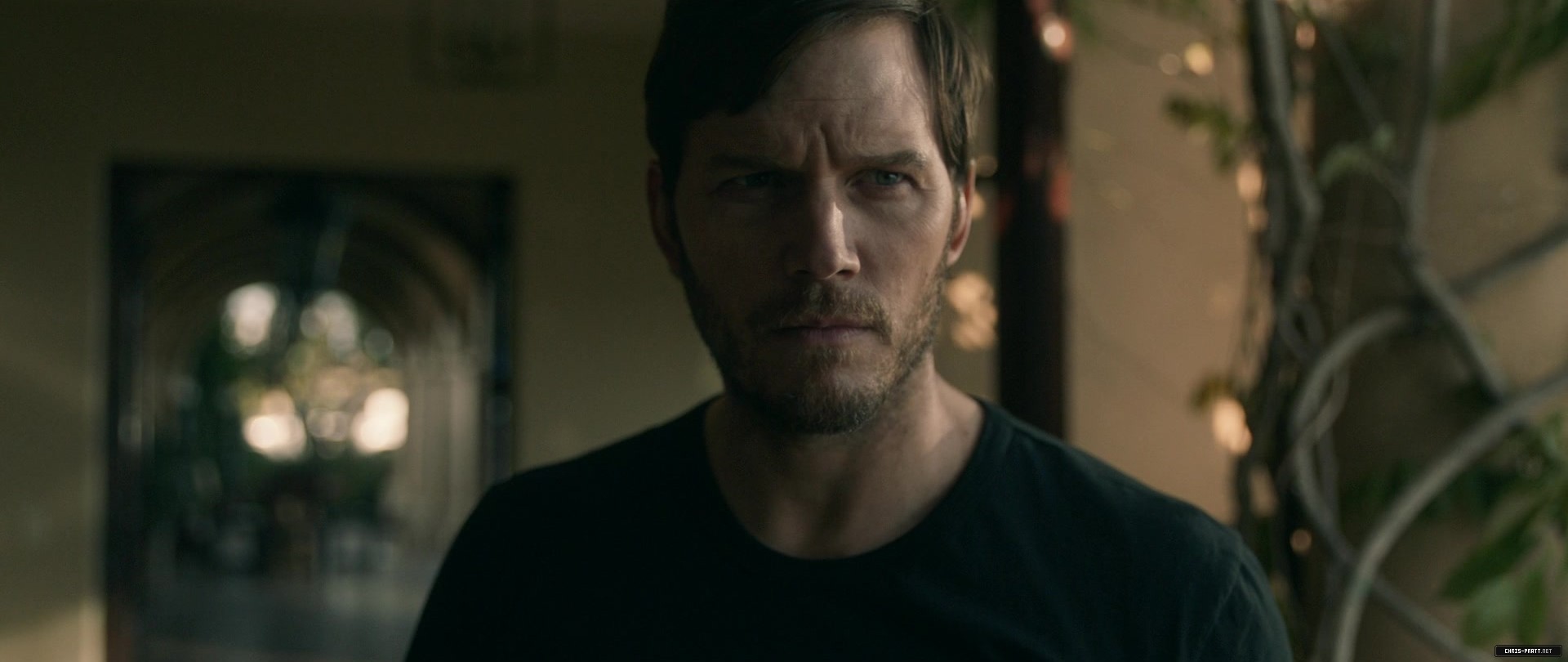 2224.jpg